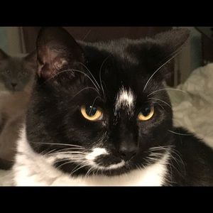 Meet your Posher, Janet